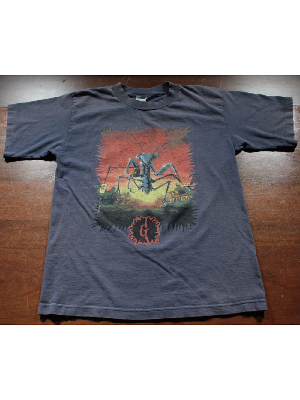 Vintage 90s Goosebumps A Shocker on Shock Street T-Shirt Distressed Shirt Youth